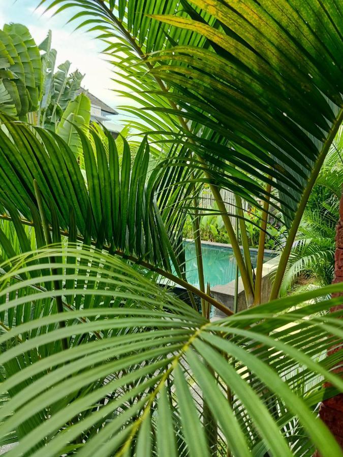 فندق Wayan Garden أوبود المظهر الخارجي الصورة