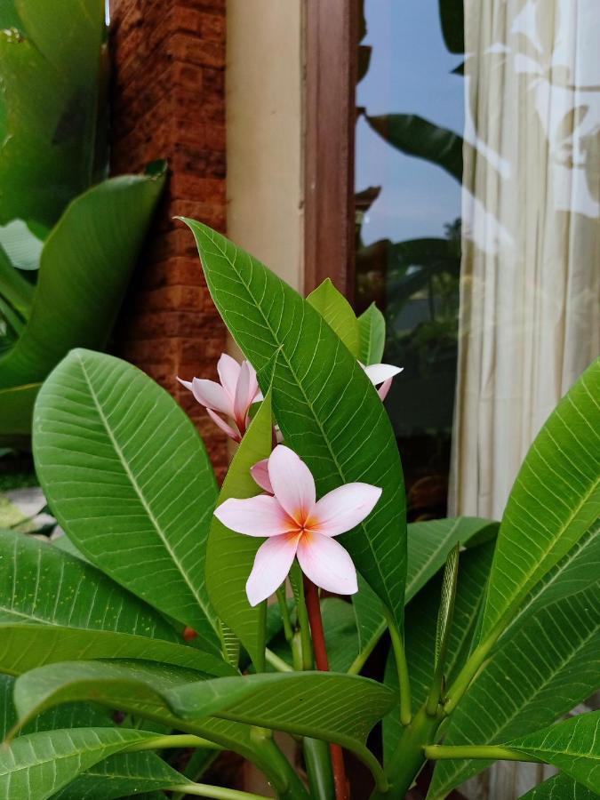 فندق Wayan Garden أوبود المظهر الخارجي الصورة